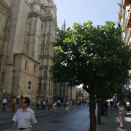 Hotel Catedral Boutique Sevilla